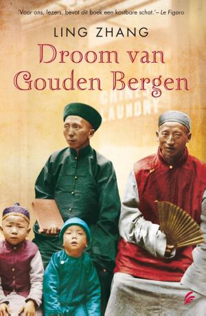 Cover of the book Droom van gouden bergen by Stieg Larsson