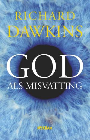 Cover of the book God als misvatting by Alex van der Hulst