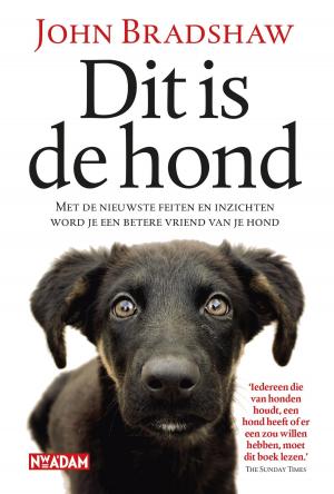 Cover of the book Dit is de hond by Claartje Steinz