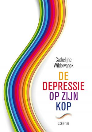 Cover of the book De depressie op zijn kop by Lisette Thooft