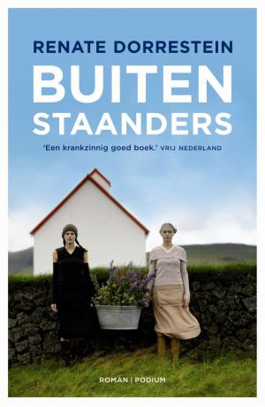 Cover of the book Buitenstaanders by Wilfried de Jong