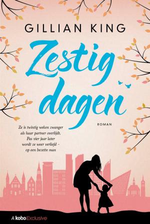 Cover of the book Zestig dagen by Colleen Hoover