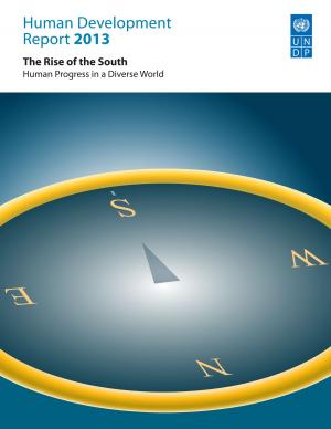 Cover of Human Development Report 2013