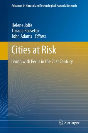 Cover of the book Cities at Risk by Gustavo Neuberger, Gilson Wirth, Ricardo Reis