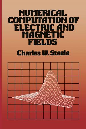 Book cover of Numerical Computation of Electric and Magnetic Fields