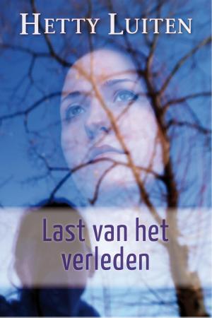 Cover of the book Last van het verleden by Ann Weisgarber