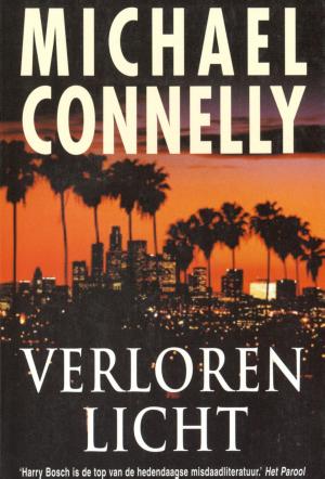 Book cover of Verloren licht