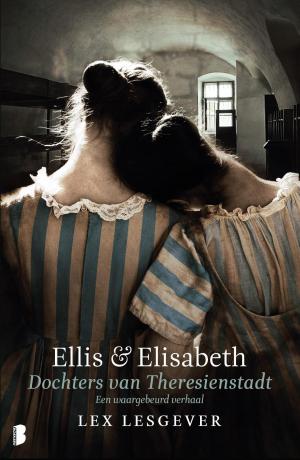 Cover of the book Ellis en Elizabeth by Lauren Weisberger