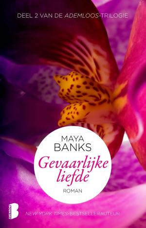 Cover of the book Gevaarlijke liefde by Jackie van Laren
