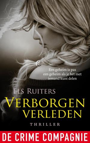Cover of the book Verborgen verleden by Marelle Boersma