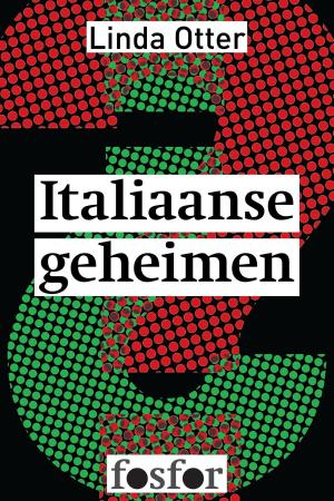 Cover of the book Italiaanse geheimen by Joke van Leeuwen