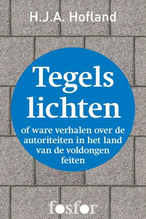 Cover of the book Tegels lichten by Marcel Langedijk