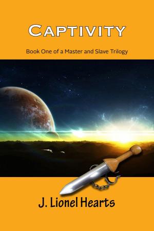 Cover of the book Captivity by Ana Katzen