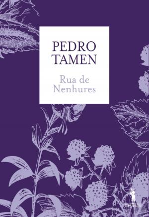 Cover of the book Rua de Nenhures by ANTÓNIO LOBO ANTUNES