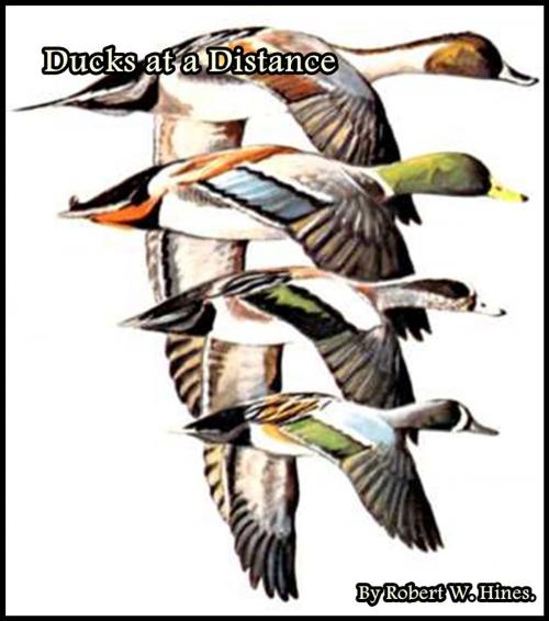 Cover of the book Ducks at a Distance by Robert W. Hines, FIRST CHICKS