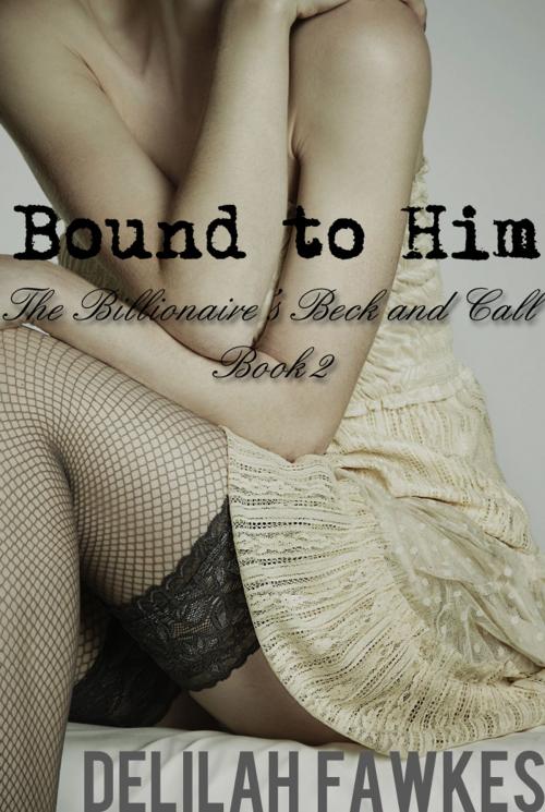 Cover of the book Bound to Him: The Billionaire's Beck and Call Series (The Billionaire's Beck and Call, Book 2) by Delilah Fawkes, Delilah Fawkes