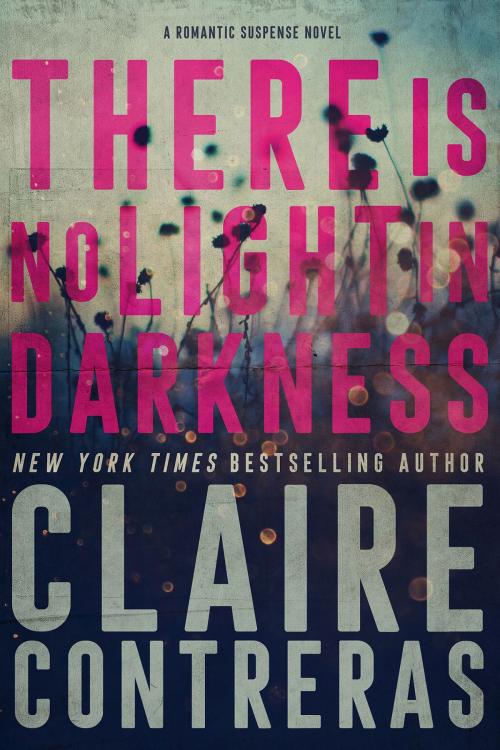 Cover of the book There is No Light in Darkness by Claire Contreras, Claire Contreras