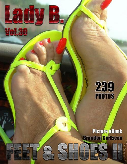 Cover of the book Lady B. Vol.30 Feet & Shoes by Brandon Carlscon, Digital Media