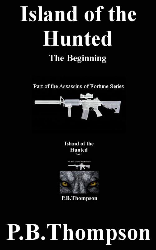 Cover of the book The Beginning by P.B.Thompson, Ferret Publishing Ltd