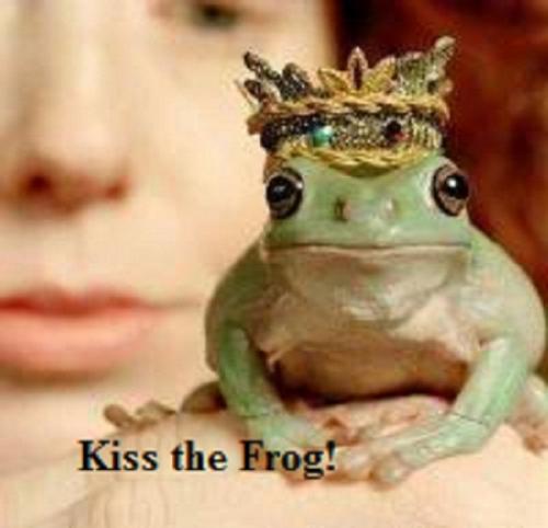 Cover of the book Kiss the Frog (teen short story) by Debbie Kay, Teen Romance.com