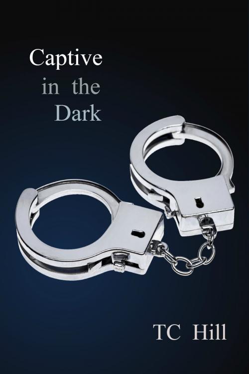 Cover of the book Captive in the Dark by T C Hill, Huey Global