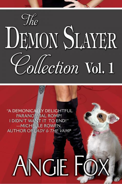 Cover of the book Accidental Demon Slayer Boxed Set Vol I (Books 1-3) by Angie Fox, Angie Fox