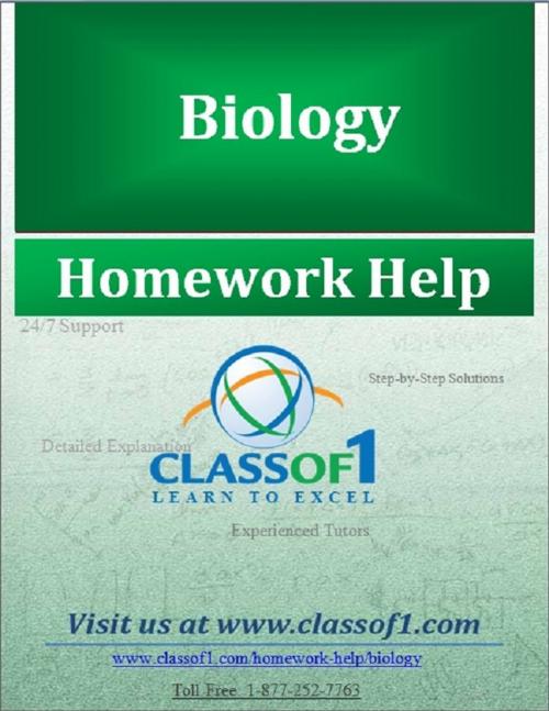 Cover of the book Physiology Relationship by Homework Help Classof1, Classof1