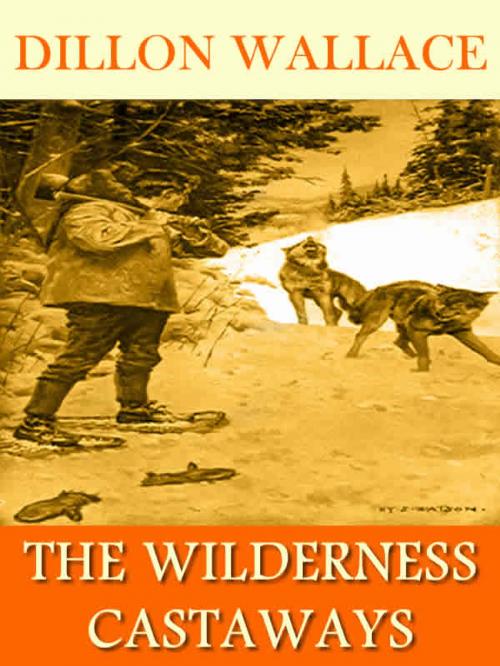 Cover of the book The Wilderness Castaways: Illustrated by Dillon Wallace, T. M. Digital Publishing