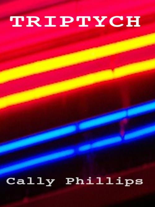 Cover of the book Triptych by Cally Phillips, HoAmPresst Publishing