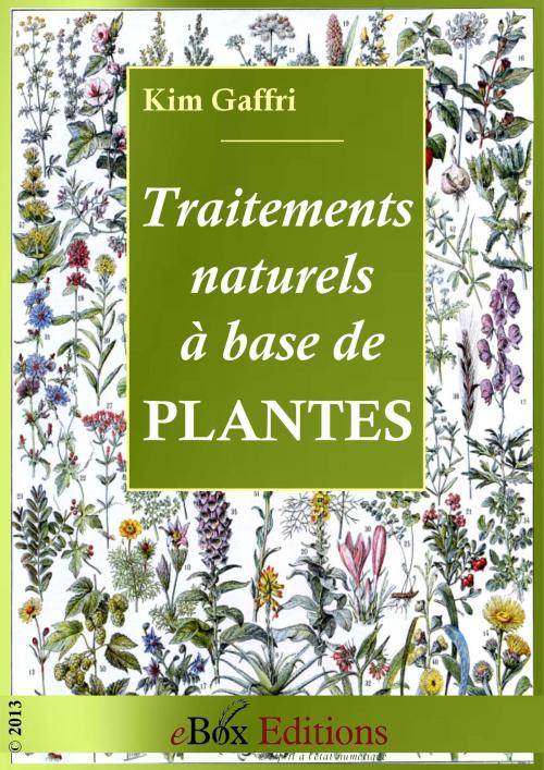 Cover of the book Traitements et remèdes naturels à base de plantes by Gaffri Kim, eBoxeditions