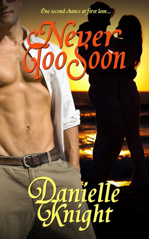 Cover of the book Never Too Soon by Danielle Knight, Grey Cat Press