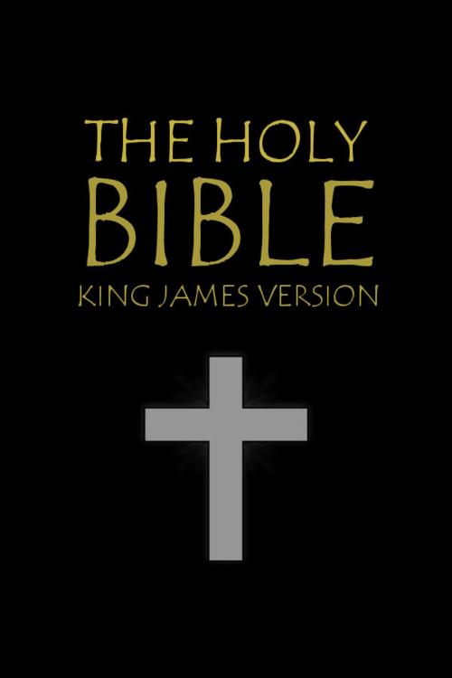Cover of the book The Holy Bible by The Holy Bible, God, Parnell Classics