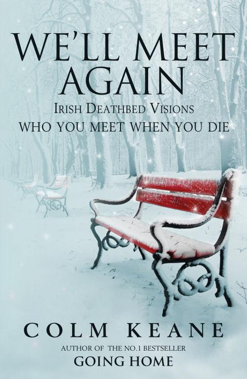 Cover of the book We'll Meet Again by Colm Keane, Capel Island Press