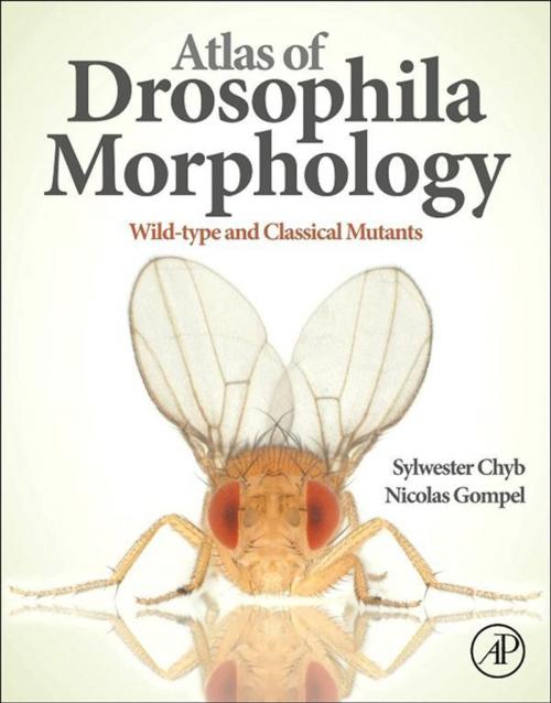 Cover of the book Atlas of Drosophila Morphology by Sylwester Chyb, Nicolas Gompel, Elsevier Science