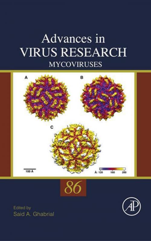 Cover of the book Mycoviruses by Said Ghabrial, Elsevier Science