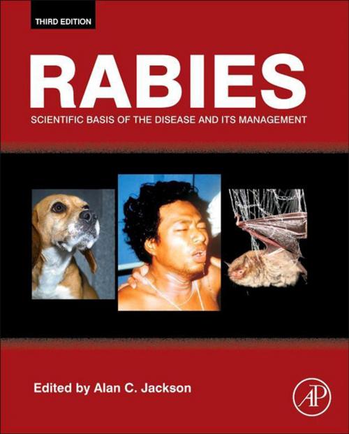 Cover of the book Rabies by , Elsevier Science