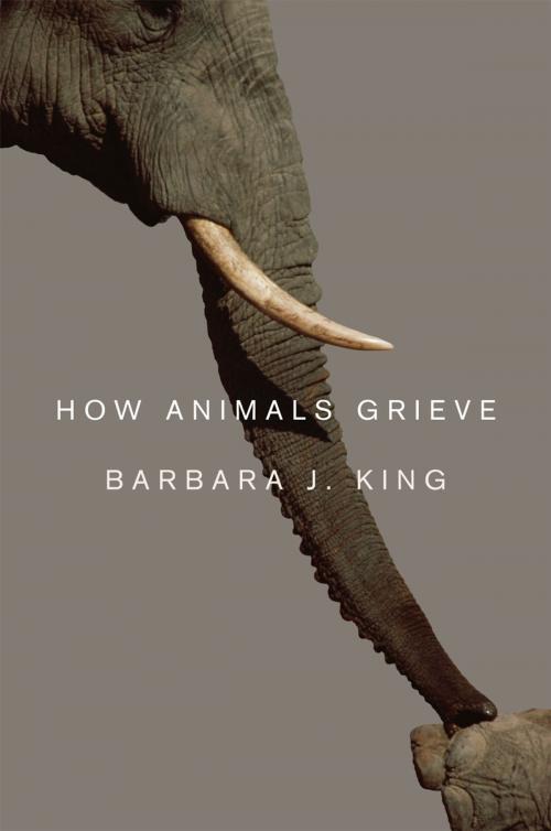 Cover of the book How Animals Grieve by Barbara J. King, University of Chicago Press