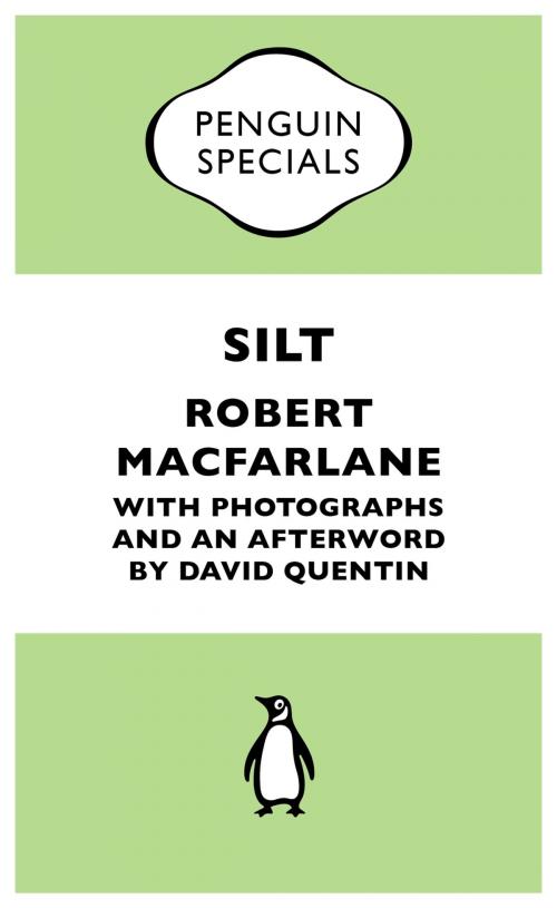 Cover of the book Silt by Robert Macfarlane, Penguin Books Ltd