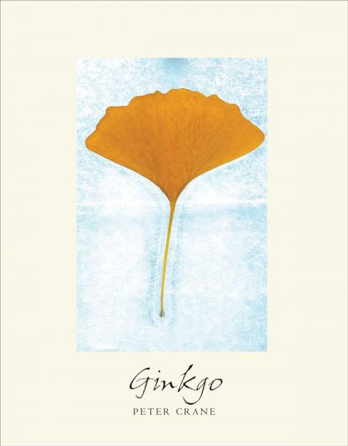 Cover of the book Ginkgo by Peter Crane, Yale University Press