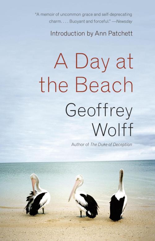 Cover of the book A Day at the Beach by Geoffrey Wolff, Knopf Doubleday Publishing Group