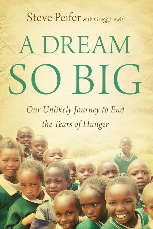 Cover of the book A Dream So Big by Steve Peifer, Gregg Lewis, Zondervan