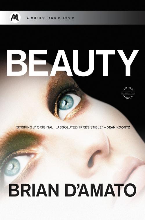 Cover of the book Beauty by Brian D'Amato, Little, Brown and Company