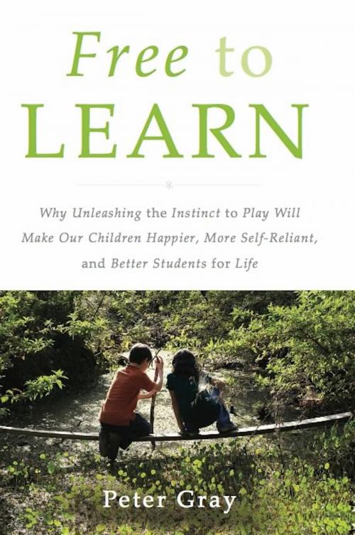 Cover of the book Free to Learn by Peter Gray, Basic Books