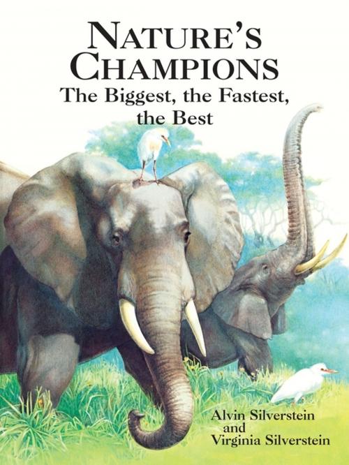 Cover of the book Nature's Champions by Alvin Silverstein, Virginia Silverstein, Dover Publications