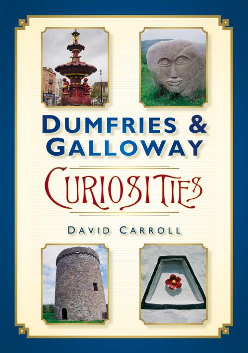 Cover of the book Dumfries & Galloway Curiosities by David Carroll, The History Press