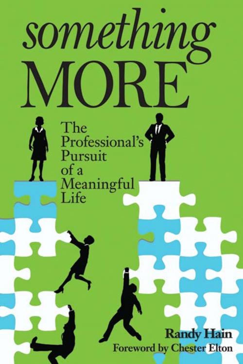 Cover of the book Something More by Randy Hain, Liguori Publications