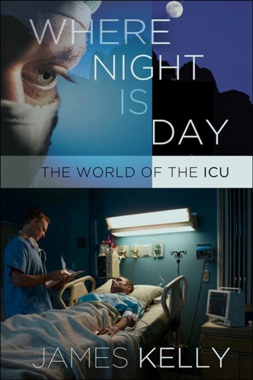 Cover of the book Where Night Is Day by James Kelly, Cornell University Press