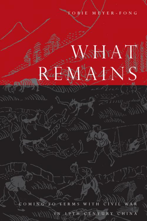 Cover of the book What Remains by Tobie Meyer-Fong, Stanford University Press