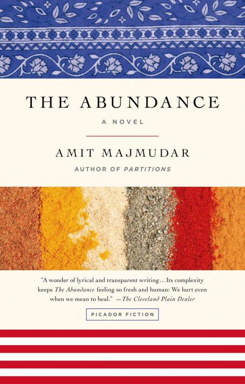 Cover of the book The Abundance by Amit Majmudar, Henry Holt and Co.