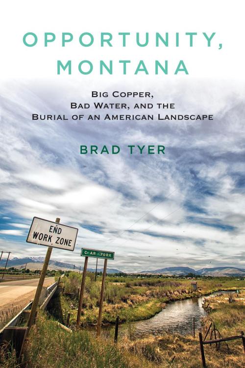 Cover of the book Opportunity, Montana by Brad Tyer, Beacon Press